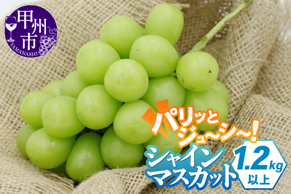 パリッとジューシー甲州市産シャインマスカット1.2kg以上【2024年発送】（TMK）B-420