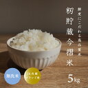 【ふるさと納税】※先行予約※令和6年産 無洗米 5kg ブランド米 令和6年産 むせんまい 籾貯蔵今摺米 きたくりん 北海道米 北海道 当麻町 定期便アリ 米 送料無料