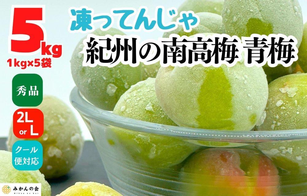 【2026年7月上旬～出荷予定】梅 冷凍 青梅 南高梅 5kg ( 1kg × 5袋) 秀品 2L or Lサイズ 和歌山県産 紀州有田  【みかんの会】