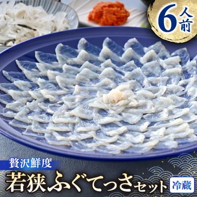 ふるさと納税 小浜市 若狭ふぐ　てっさ(6人前)