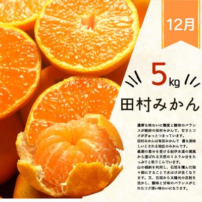 ふるさと納税 美浜町 【発送月固定定期便】紀州和歌山産旬のフルーツセット(田村みかん・まりひめ・紀州デコ)全3回 |  | 01