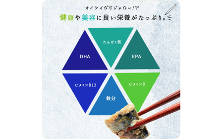 定期便【全3回/毎月お届け】大容量！ ご家庭用 塩さばフィレをたっぷりお届け定期便 / さば サバ 鯖 フィレ 切り身 切身 魚 海鮮 焼き魚 おかず 定期便【tkb354】