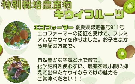＜12月頃発送＞奈良県 室生産 こだわり プレミアムキウイフルーツMサイズ17個×2箱入追熟処理済／ やまとファームJAPAN  果物 旬の食材 お取り寄せ お土産 贈答品 化学肥料不使用 特別栽培 