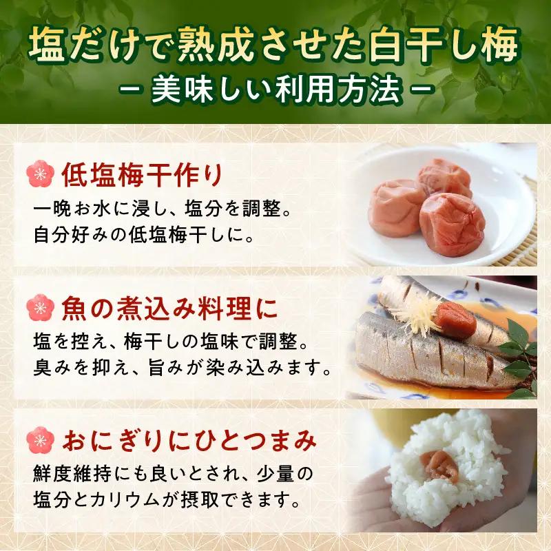 梅干し 訳あり昔ながらの塩だけ梅干し 塩分20% 約1kg_KS1002