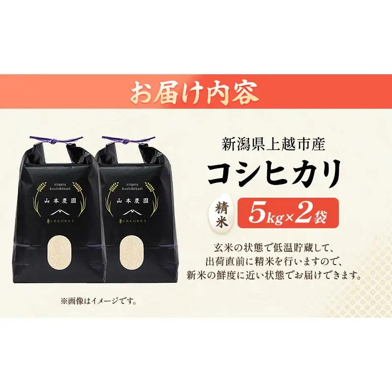 先行予約 令和8年 新潟県上越市産 コシヒカリ（特別栽培米） | 10kg (5キロ×2袋） 米  山本農園 ご飯 精米 新潟 上越