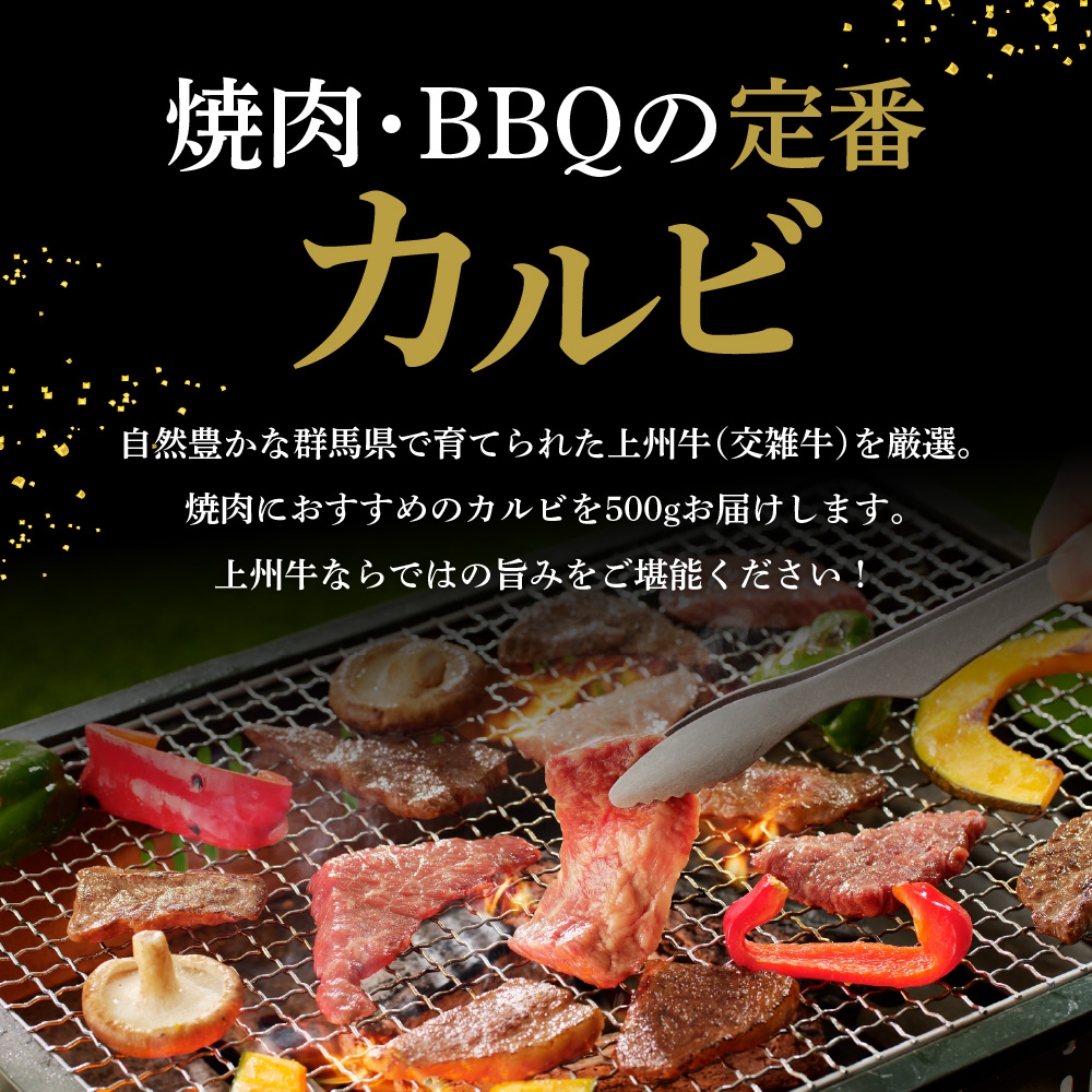 牛肉 カルビ 【上州牛】 500g  群馬 県 千代田町 ch013-004rhrr_イメージ3
