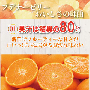 ゼリー オレンジ 12個  入り プデナー ゼリー フルーツ とくれん フルーツゼリー 給食 