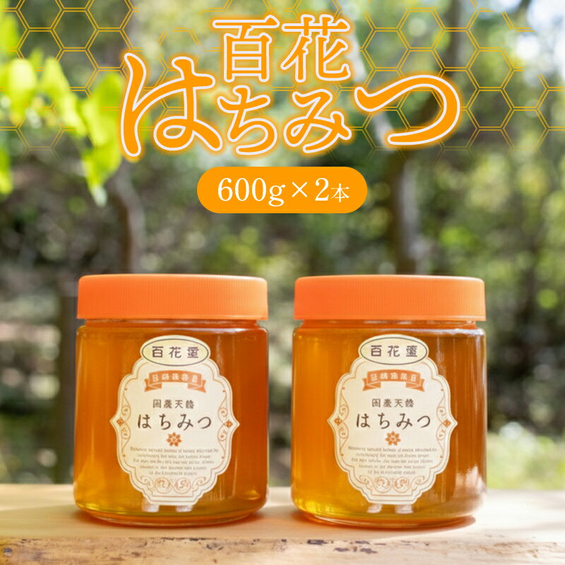【ふるさと納税】純粋天然 百花はちみつ 600g×2本