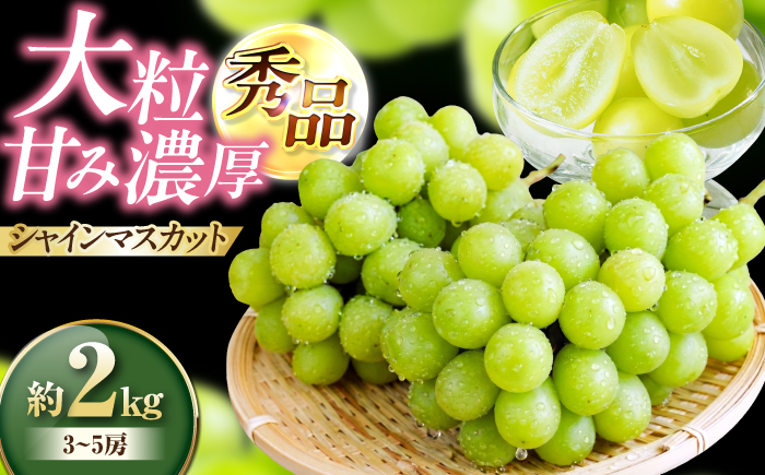 【先行予約】【2026年9月上旬より順次発送】秀品 シャインマスカット約2kg（3〜5房）　愛媛県大洲市/沢井青果有限会社 [AGBN006] シャインマスカット 葡萄 マスカットぶどう 葡萄 フルーツ