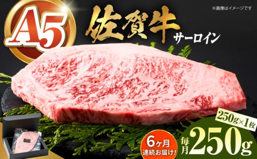 【全国有数のブランド牛】＜全6回定期便＞佐賀牛サーロインステーキ 250ｇ【がばいフーズ】A5ランク 佐賀牛 牛肉 サーロイン ステーキ A5 佐賀牛 a5 1枚 和牛 黒毛和牛 小分け 冷凍 定期 6回 6ヶ月 [HCS054]