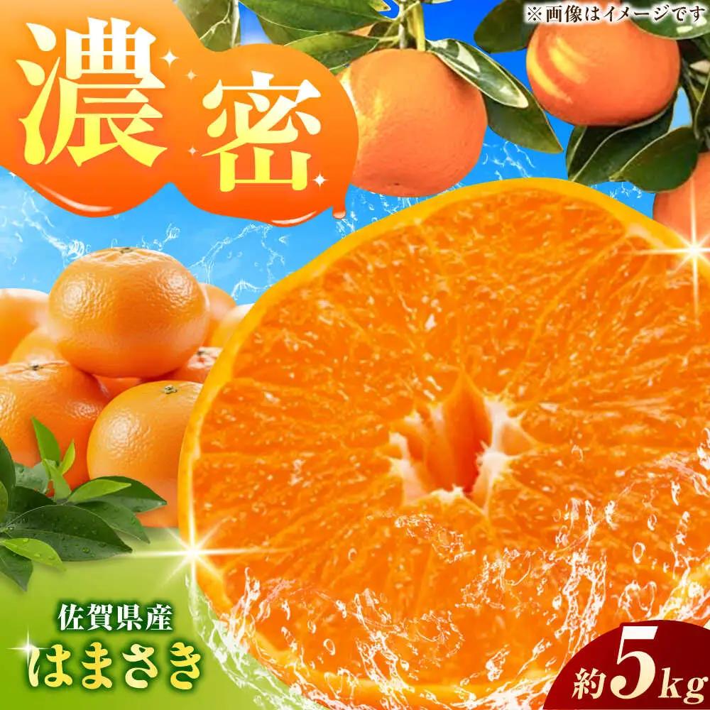 【2027年2月以降順次発送】佐賀県産みかん はまさき約5kg / みかん 蜜柑 果物 フルーツ / リフルット株式会社 [41ABAA022]