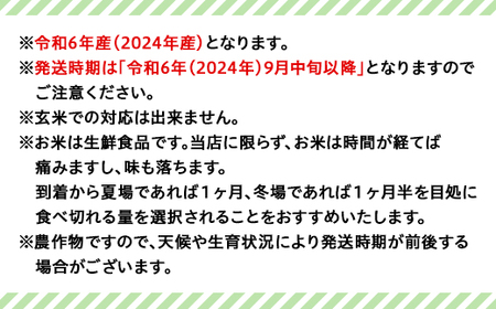 75-3K10Z【12ヶ月連続お届け】新潟県長岡産特別栽培米こしいぶき10kg（5kg×2袋）