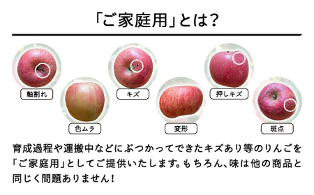 りんご サンふじ 約5kg ご家庭用 りんご