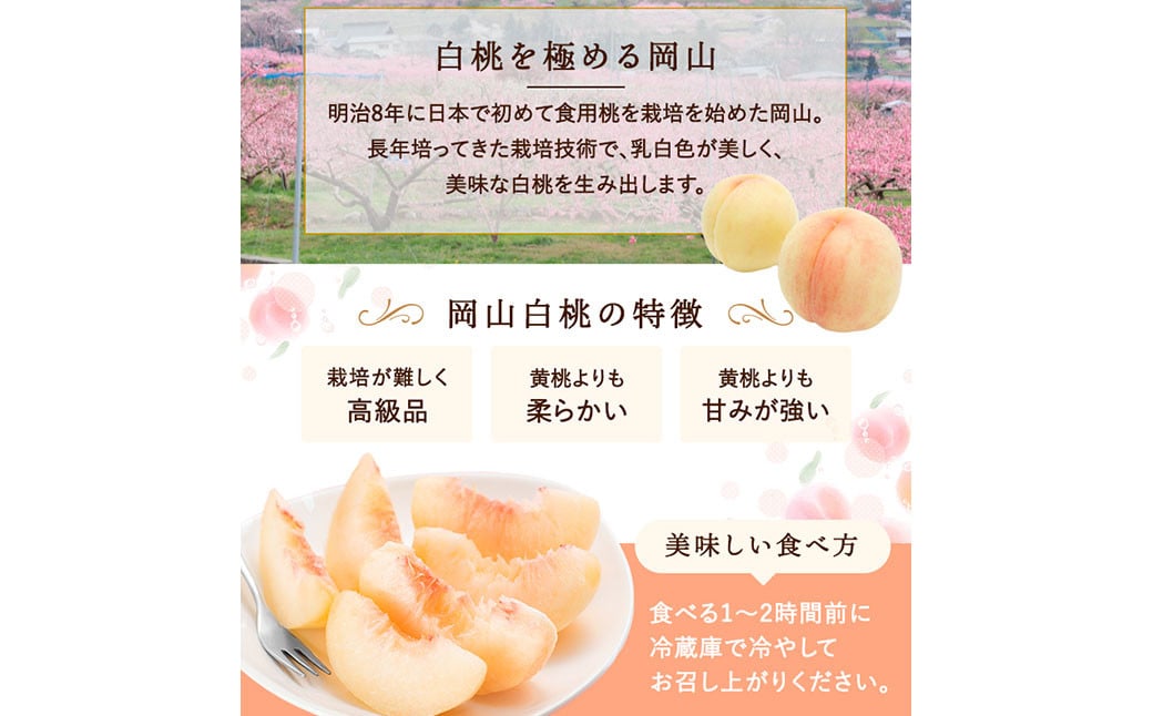 白桃 6玉 （1.5kg以上） 等級 ： ロイヤル 化粧箱入り 【2026年7月上旬～8月上旬迄発送予定】 ／ 桃 もも モモ はくとう 果物 くだもの フルーツ 果実 デザート 冷蔵