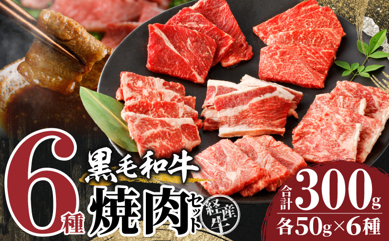 
生産者応援≪訳あり≫黒毛和牛(経産牛)6種焼肉セット(合計300g) 肉 牛 牛肉 おかず 国産_T030-0221
