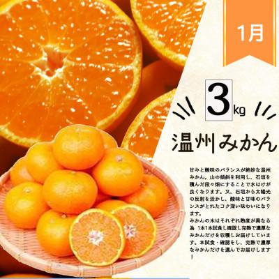 ふるさと納税 九度山町 【発送月固定定期便】紀州和歌山産旬の柑橘セット(みかん・不知火・せとか・清見)全4回 |  | 01