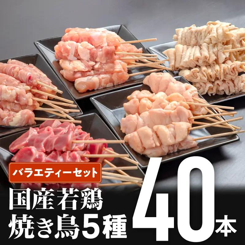 鶏肉 焼き鳥 鶏肉 [5種 40本 バラエティー セット 国産]