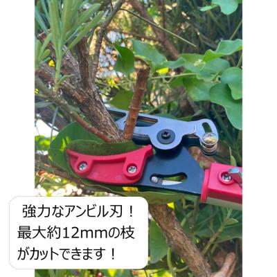 ふるさと納税 小野市 大進 軽量伸縮式高枝切鋏アンビル刃2m DG-14R6 高枝切りバサミ 4939736703397 |  | 02