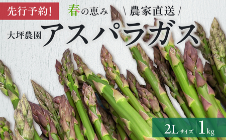 【大坪農園】≪2026年 先行予約≫ 春の恵み　北海道東川町産アスパラガス　2Lサイズ　1㎏