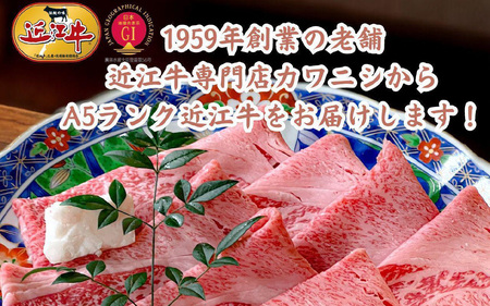 【定期便】【A5ランク近江牛】特選食べ比べ定期便【年4回（3ヵ月に1回お届け）】[BH002] / 肉 お肉 牛肉 和牛 三大和牛 近江牛 近江 滋賀県 大津市 国産 国産牛 鍋 高級 霜降り 霜降り
