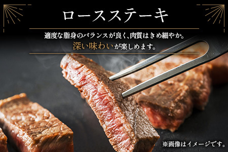 鰻楽 国産うなぎ 2尾 計360g ＆ 宮崎牛 ロースステーキ 250g×2枚 計500g 肉質等級4等級 国産 人気 おすすめ【C129-2510-90】