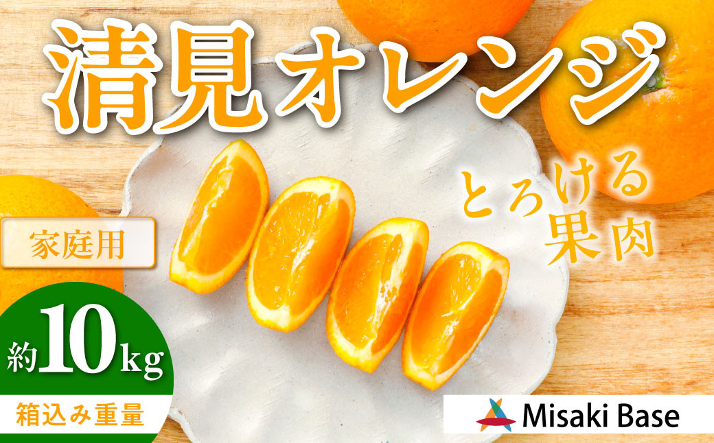 
            【先行受付】【家庭用】清見オレンジ 10kg ※離島への配送不可 （2026年3月中旬より順次発送）  【 ふるさと納税 人気 おすすめ ランキング みかん 柑橘 ミカン 蜜柑 mikan 果物 清見 清見オレンジ フルーツ 糖度 甘い きよみ タンゴール 温州 オレンジ 家庭用 おすそ分け Misaki Base 愛媛県 伊方町 送料無料 】 IKTAB008 
          
