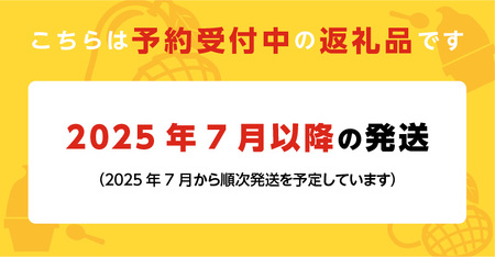 完熟マンゴーのジェラート＆シャーベット130ml×6個入り_Dw012