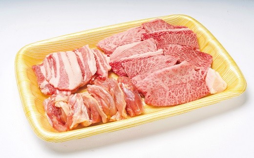 G-14 おおいた和牛焼肉セット（合計1.6kg）