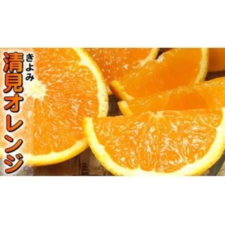 清見オレンジ 秀品 [約5kg]和歌山県有田産春みかん(果実サイズおまかせ)【1223505】