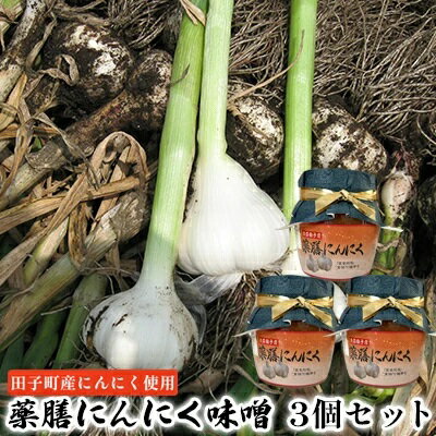【ふるさと納税】薬膳にんにく味噌3個セット【田子町産にんにく使用】　 薬味 調味料 ごはんのお供 味付け 田子産にんにく使用 粗みじん切り こうじ 甘い味噌 コク おにぎりの具