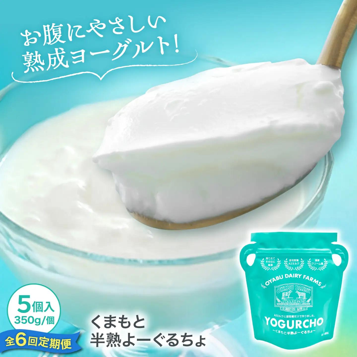 【全6回定期便】オオヤブデイリーファーム くまもと半熟よーぐるちょ 350g×5個ヨーグルト[AYAE006]