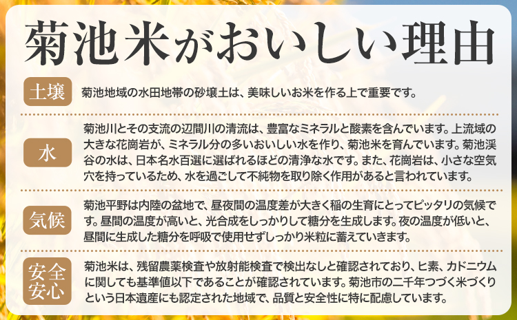 【3ヶ月定期便】熊本県産 肥後米 無洗米 白米 10kg 1袋5kg 米 お米 令和6年産 九州産 熊本県産 ブレンド米 送料無料《お申込み翌月に出荷予定》 無洗米 白米 米---026-3006mo