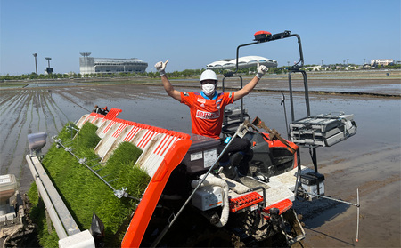 【アルビ米】新潟産コシヒカリ精米2kg×2袋