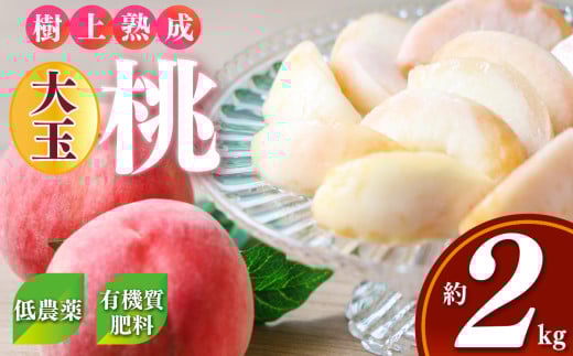 桃（大玉）約2kg箱（6個）｜フルーツ 果物 くだもの 桃 もも モモ ピーチ 奈良県 五條市 果実 果汁 果実
