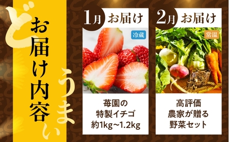 【定期便】どうまい定期便 全10回 A＆Bコース
