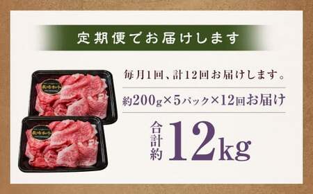 【全12回定期便】【A4～A5ランク】長崎和牛 特選 切り落とし 約1kg (200g×5パック) お肉 牛肉 肉 牛 和牛 国産牛 国産