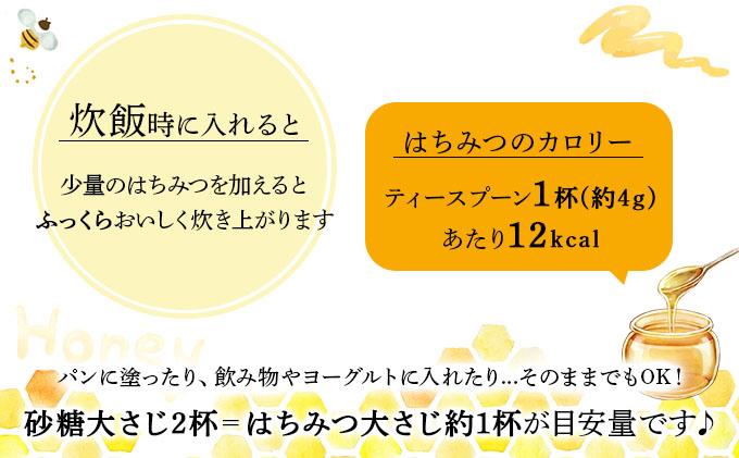 山田養蜂場　里山の百花蜂蜜300g（プラ容器入）×1本 （3643）【006-a034】