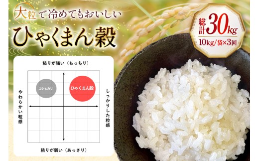 米 令和8年産 3回 定期便 特別栽培米 ひゃくまん穀 10kg [ かさの郷 石川県津幡町 tb17bgj610006] お米 こめ 令和8年 ひゃくまんごく 10キロ おこめ ご飯 ごはん ゴハン
