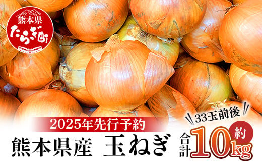 【先行予約】熊本県産 玉ねぎ 10kg (33玉前後) ≪2025年4月下旬から順次発送≫ 玉葱 野菜 数量限定 JAS たまねぎ オニオン 甘い サラダ ハンバーグ 肉じゃが カレー 065-0637