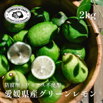 【ふるさと納税】【防腐剤・ワックス不使用】愛媛県産グリーンレモン 2kg / 3kg / 5kg / 10kg_ レモン れもん 檸檬 グリーンレモン 愛媛県 国産 防腐剤不使用 ワックス不使用 果物 くだもの フルーツ かんきつ 柑橘 柑橘類 産直 産地直送【G1615804】