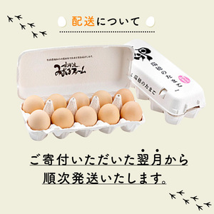 【卵 定期便3か月】 くろ丹波 卵30個