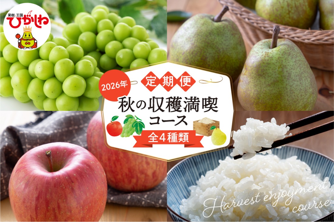 【定期便4回】秋の収穫満喫コース(2026年9月 シャインマスカットからスタート) シャインマスカット ラ・フランス りんご つや姫　hi003-160