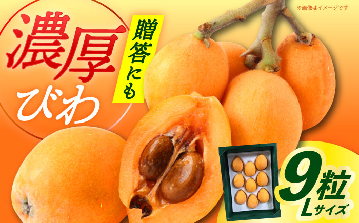 
                  【先行予約】【2026年6月発送】長崎県産 びわ Lサイズ 9粒（化粧箱入） / フルーツ びわ ビワ 枇杷  先行予約 初夏 贈答 びわ 【神川農園】[DBT004] 15000円 以上
                