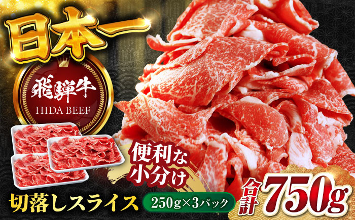 
            【選べる発送月】【飛騨牛】切り落としスライス 計750g（250g×3P） 牛肉 飛騨牛 切り落とし きりおとし 切りおとし 肉 牛肉 和牛 炒め物 牛丼 小分け 生姜焼き 岐阜市/丸福商店 [ANBO004]
          