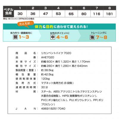 ふるさと納税 高槻市 リカンベントバイク7020/AHE7020 |  | 03
