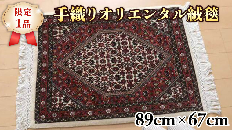 
【限定1品】手織り ペルシャ絨毯 ラグマット カーペット／ウール 玄関マットサイズ 89×67cm 高品質 じゅうたん ラグ（FS-22129） ペルシャ絨毯 手織り モダン クラシック 玄関マット エントランスマット 寝室 和室 床暖房 ホットカーペット対応 じゅうたん ラグ 高密度 繊細 美しい ラグマット カーペット エレガント インテリア
