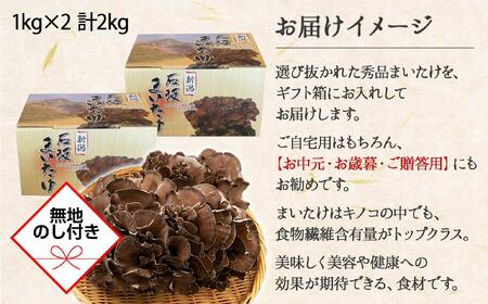 【無地のし】 新潟県 南魚沼産 厳選 国産 石坂 高級 舞茸 まいたけ 産地直送 1kg ×2箱 計2kg 贈り物 ギフト お中元 お歳暮 石坂きのこ