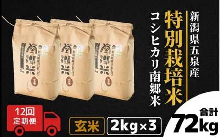 【令和6年産新米】〈12回定期便〉特別栽培米コシヒカリ「南郷米」玄米6kg（2kg×3袋）［2024年9月中旬以降順次発送］ 有限会社ファームみなみの郷