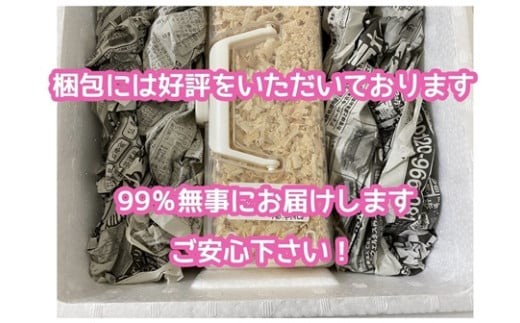 豊富な発送経験がございますので生体の発送はお任せください