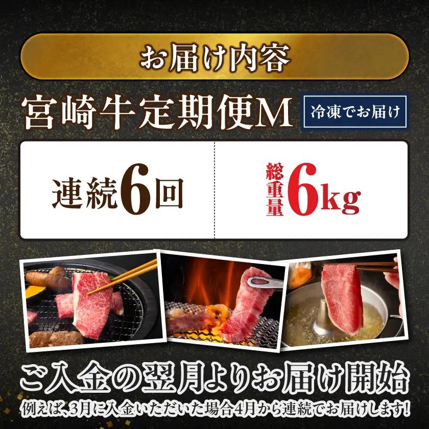 ≪6回連続お届け≫宮崎牛赤身霜降り食べ比べ定期便M(総重量6kg)〔T102-6-N201〕_(都城市) 宮崎牛 スライス 焼肉 2種セット 肩ロース又はロース ウデ又はモモ